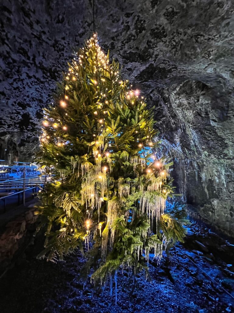 Christmas Carol Concerts 2024 Peak Cavern